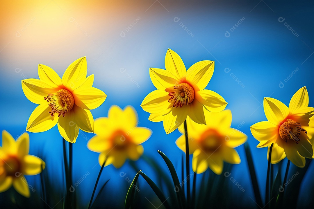 Campo de lindas flores amarelas