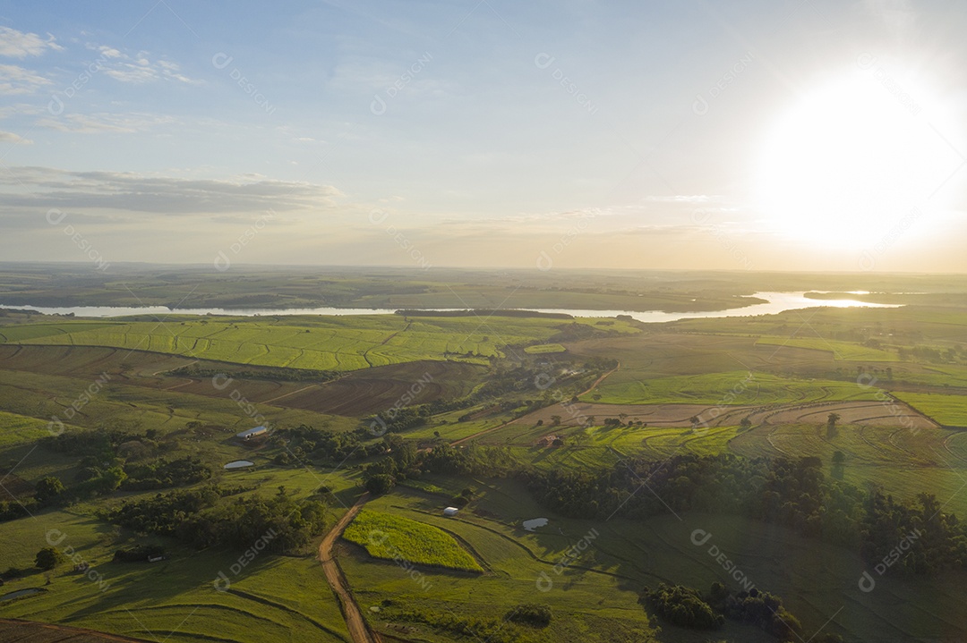 Vista aérea de plantações com um rio ao fundo ao sol