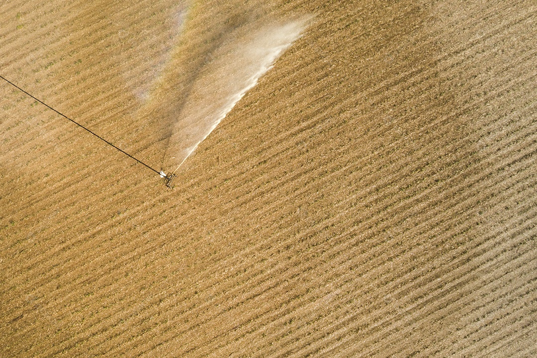 Vista aérea da plantação de cana-de-açúcar com irrigação na manhã ensolarada