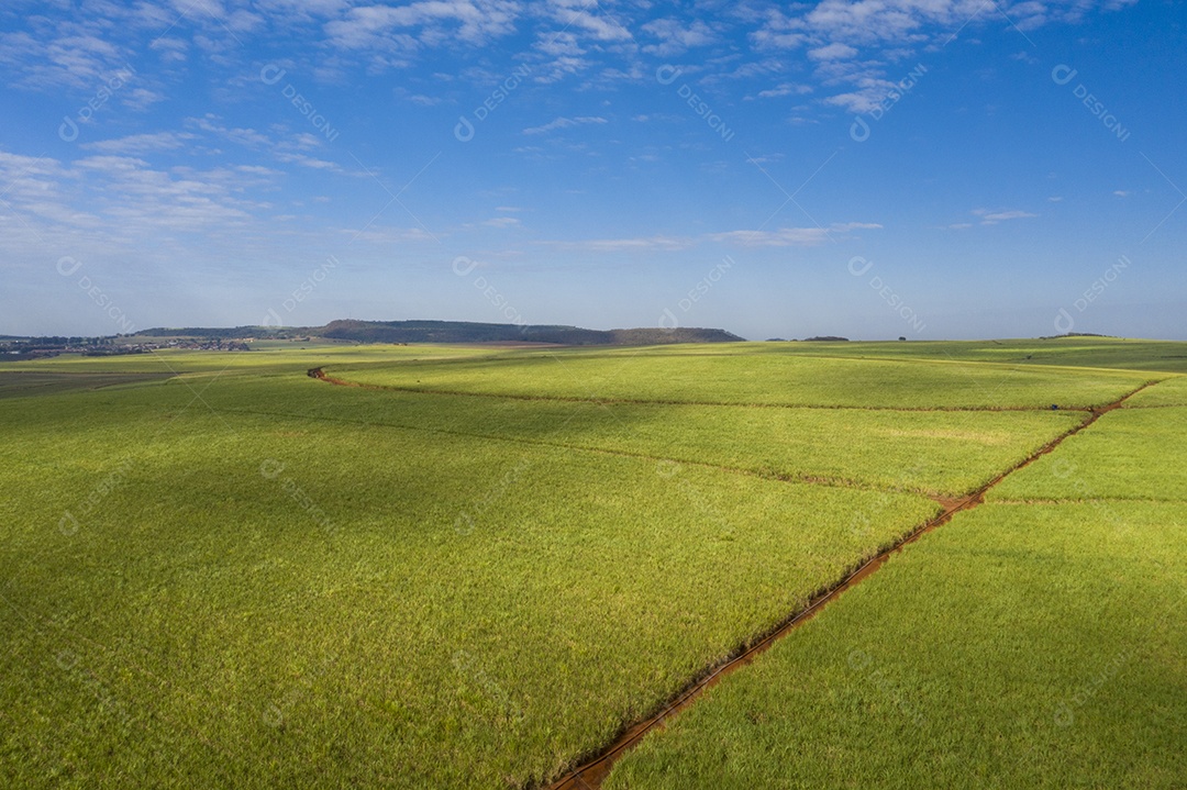 Vista aérea do canavial com céu azul e nuvens