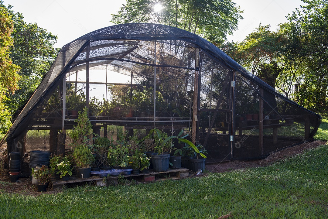 Estufa para cultivo de orquídeas e outras flores