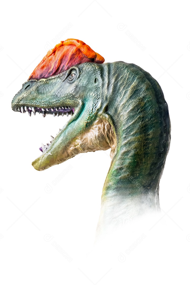 A cabeça de dinossauro em fundo branco