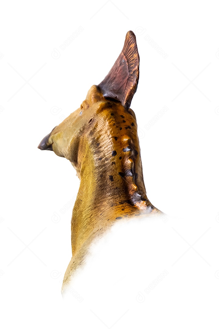 A cabeça de dinossauro em fundo branco