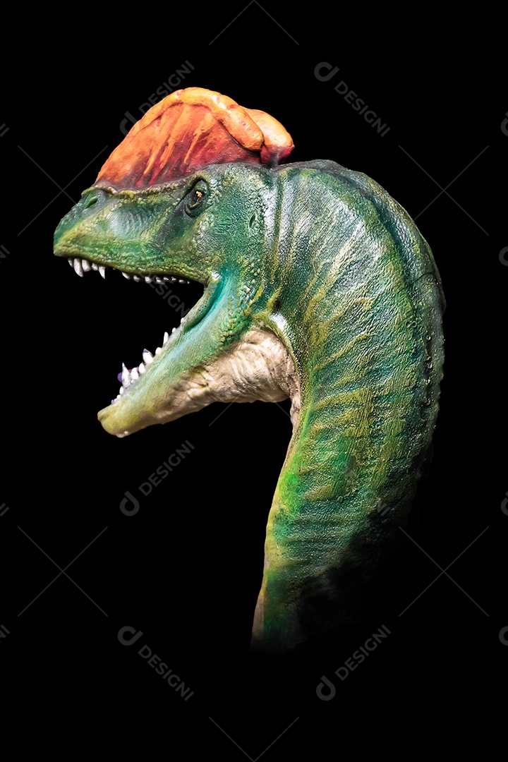 A cabeça de dinossauro em fundo preto