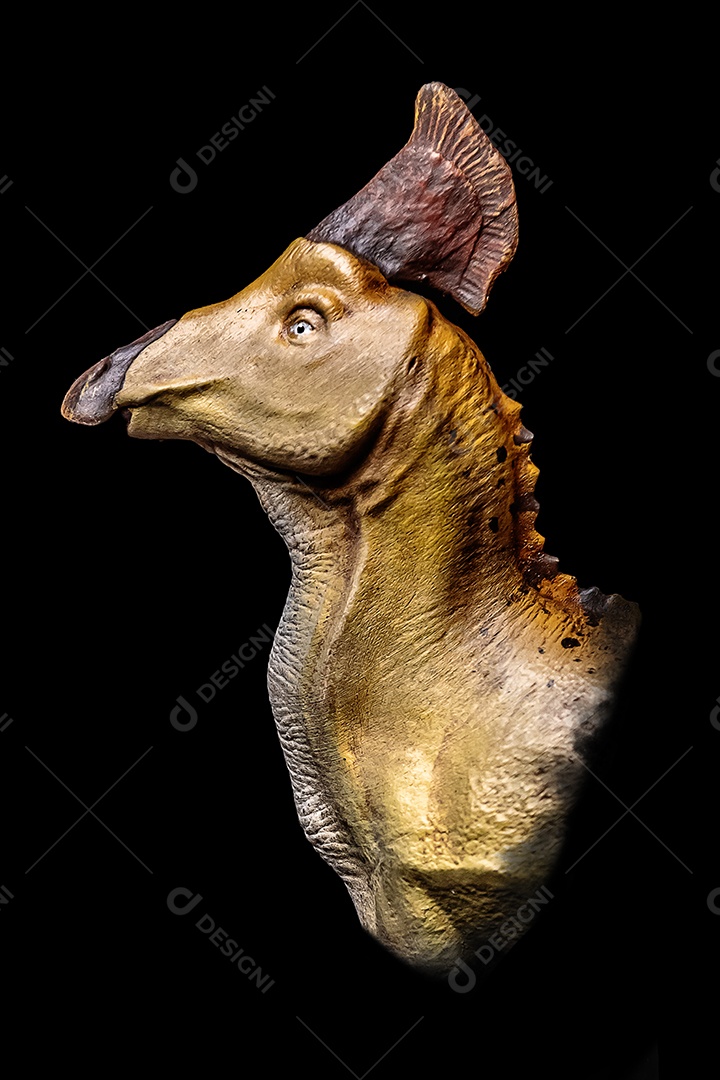 A cabeça de dinossauro em fundo preto