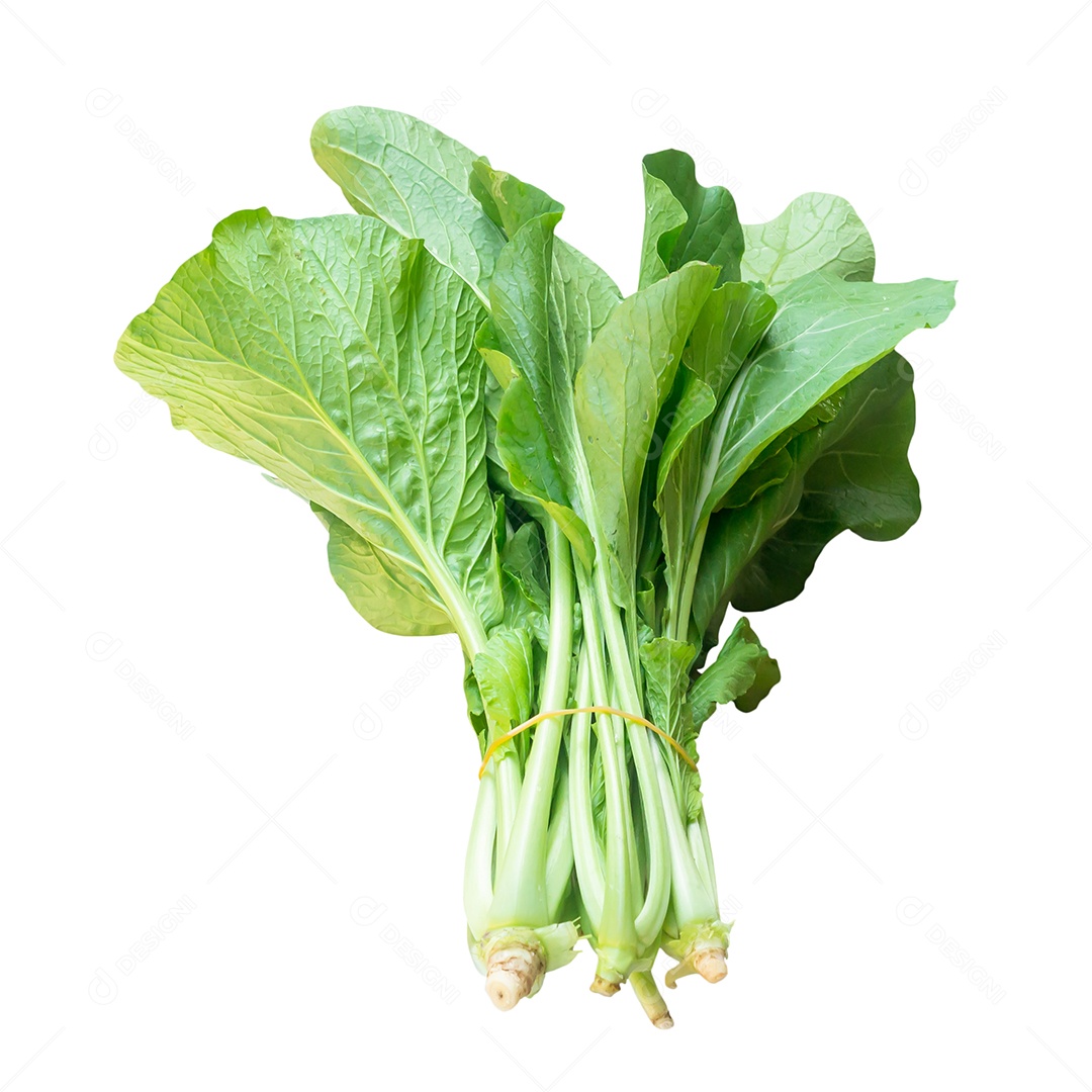 Alface verde cantonesa fresca em pacote é isolada em fundo branco com traçado de recorte.