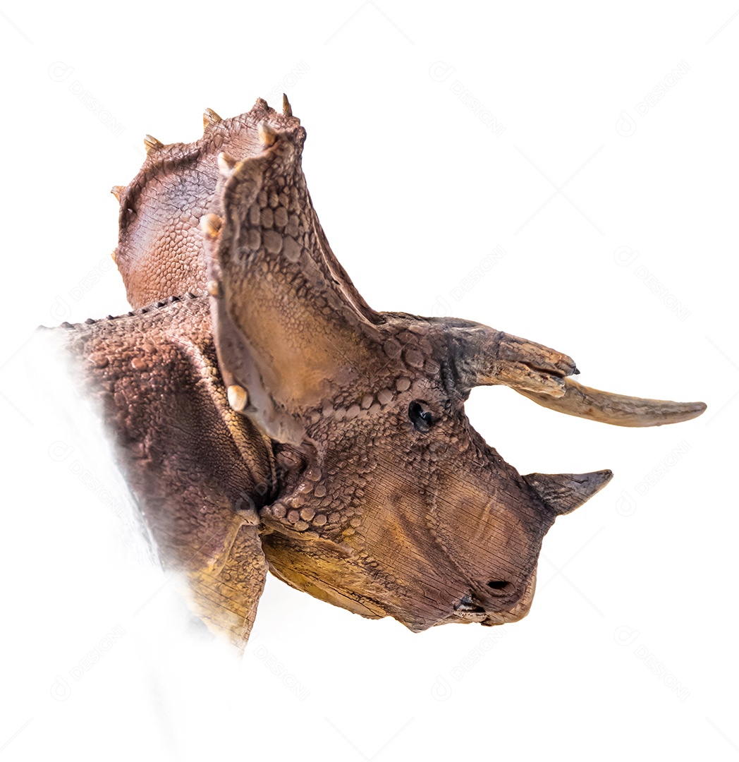 A cabeça de dinossauro em fundo branco