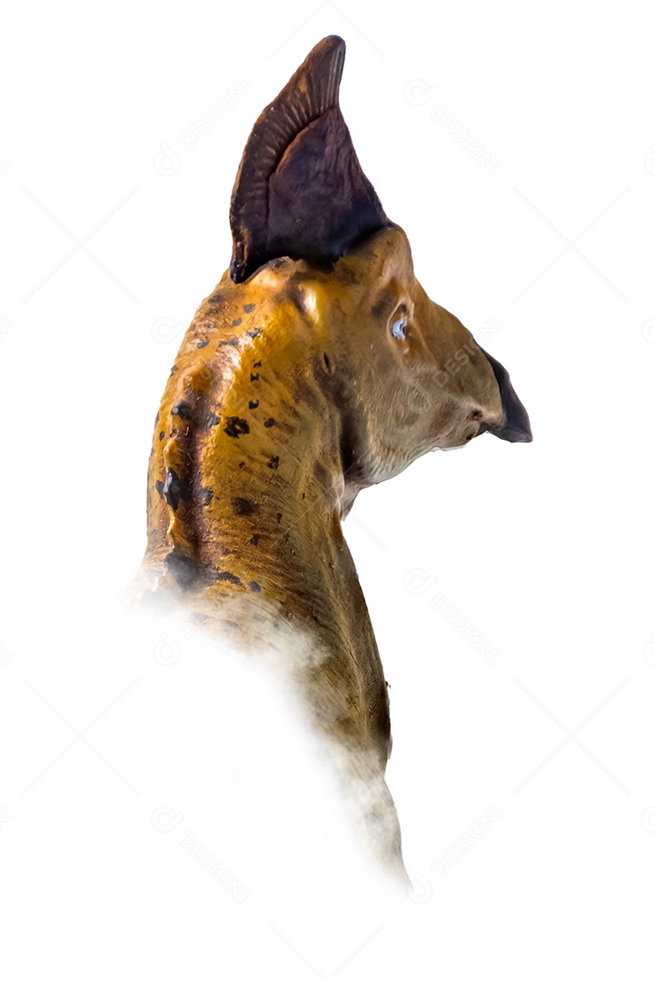 A cabeça de dinossauro em fundo branco