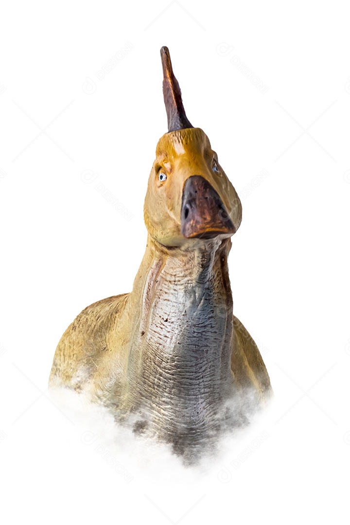 Dinossauro em fundo branco