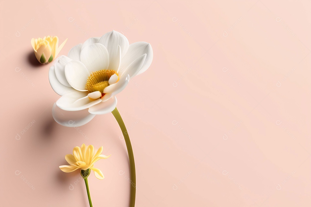 Linda flor amarela em fundo rosa