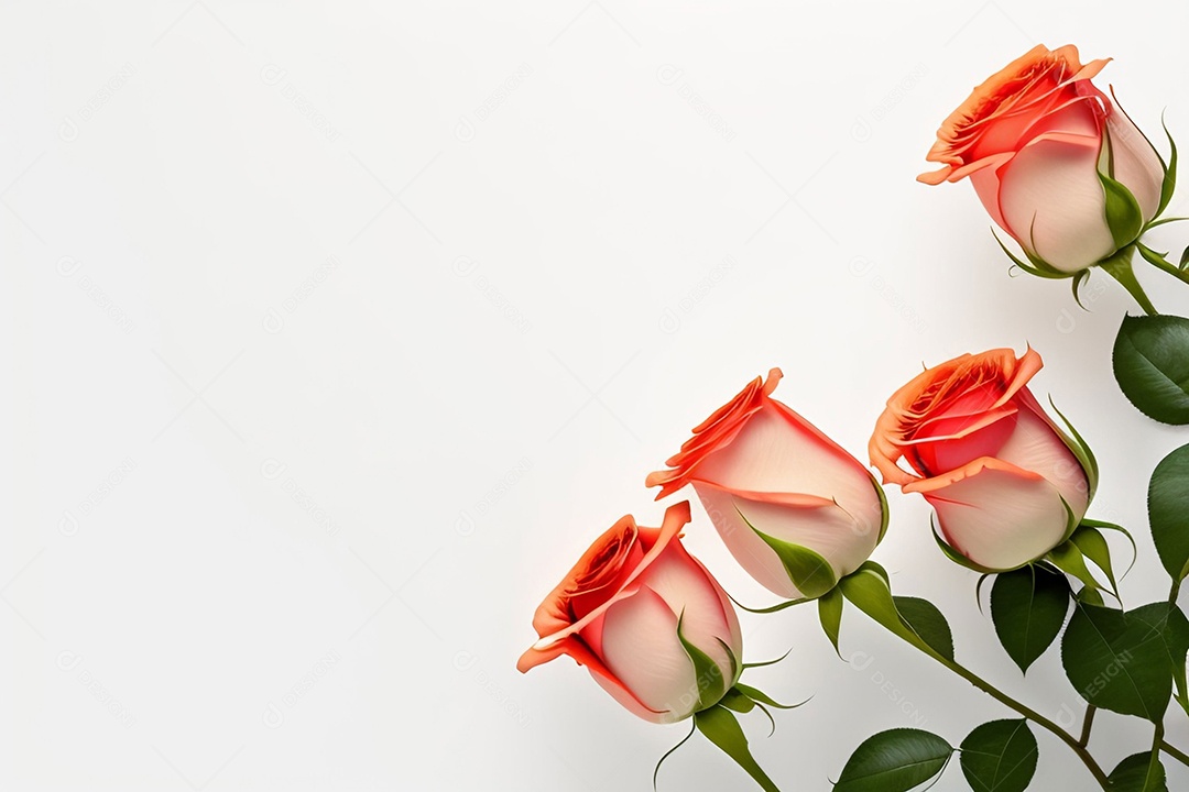 Linda flor em fundo branco