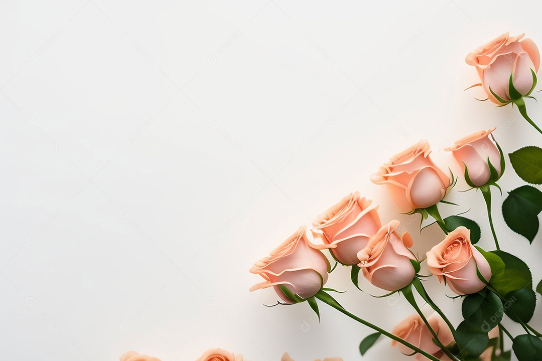 Linda flor em fundo branco