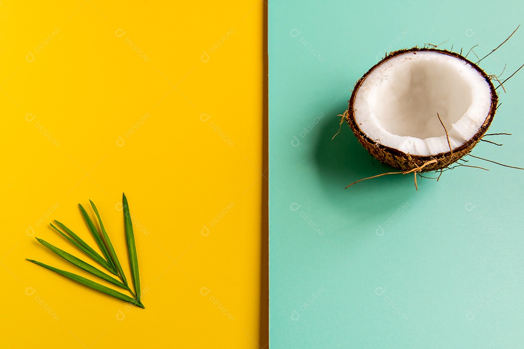 Folha de coco em fundo isolado