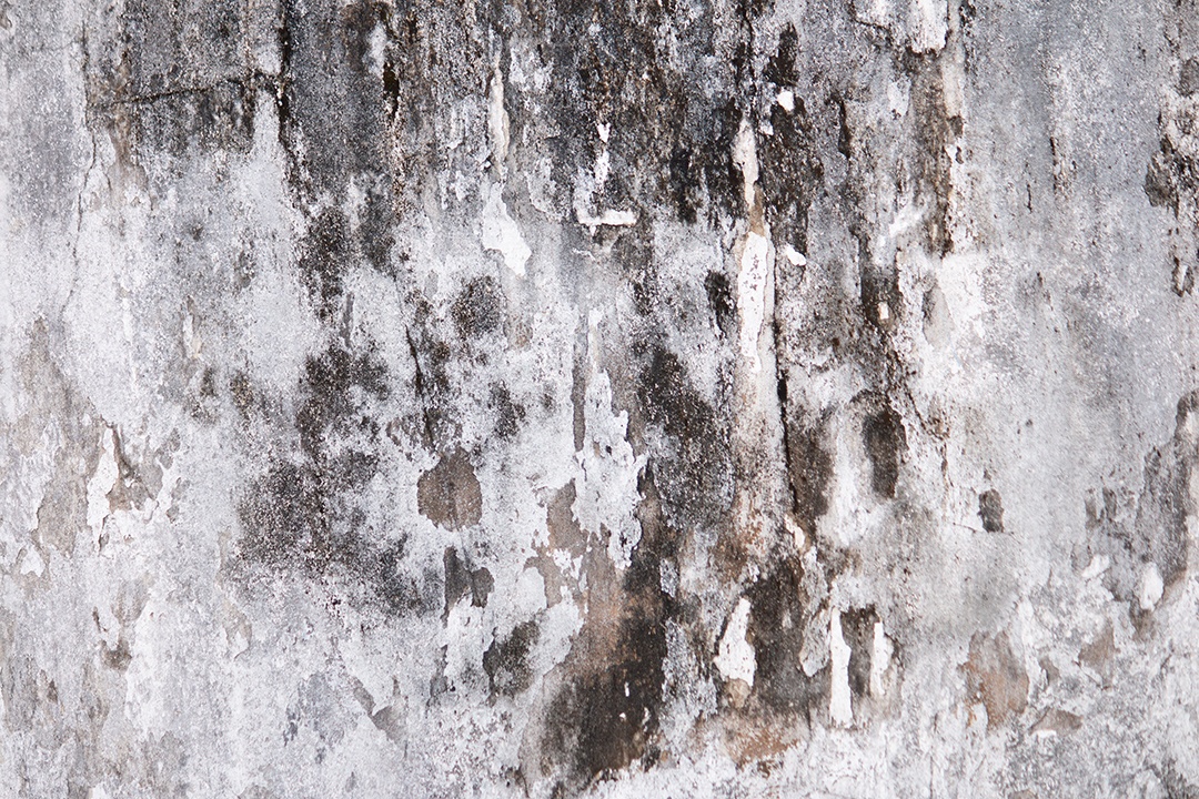 Parede velha com pintura descascada e mofo