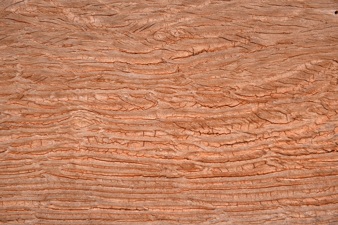 Um pedaço de madeira marrom envelhecida