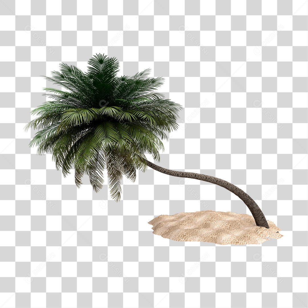 Coqueiro PNG Transparente