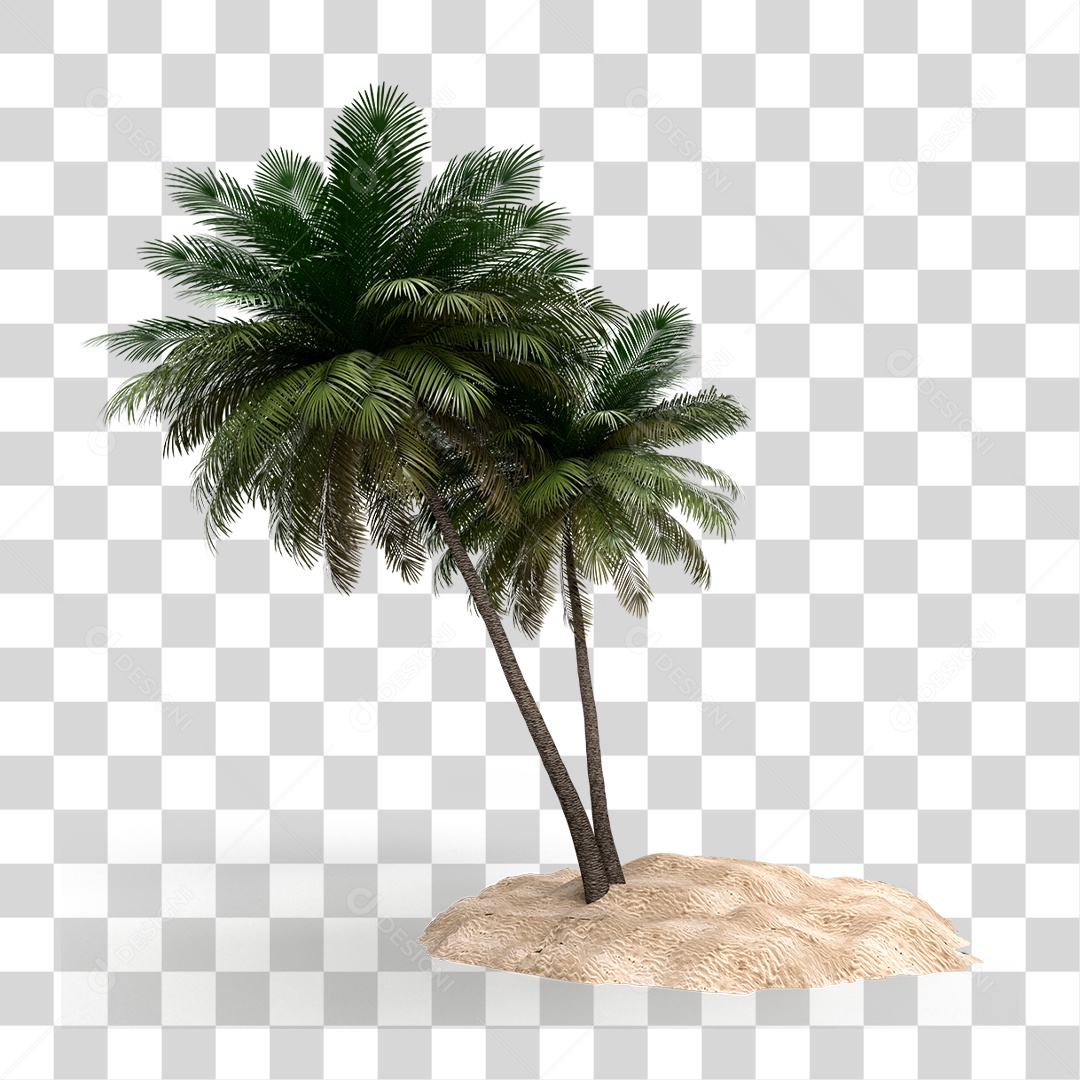 Coqueiro PNG Transparente