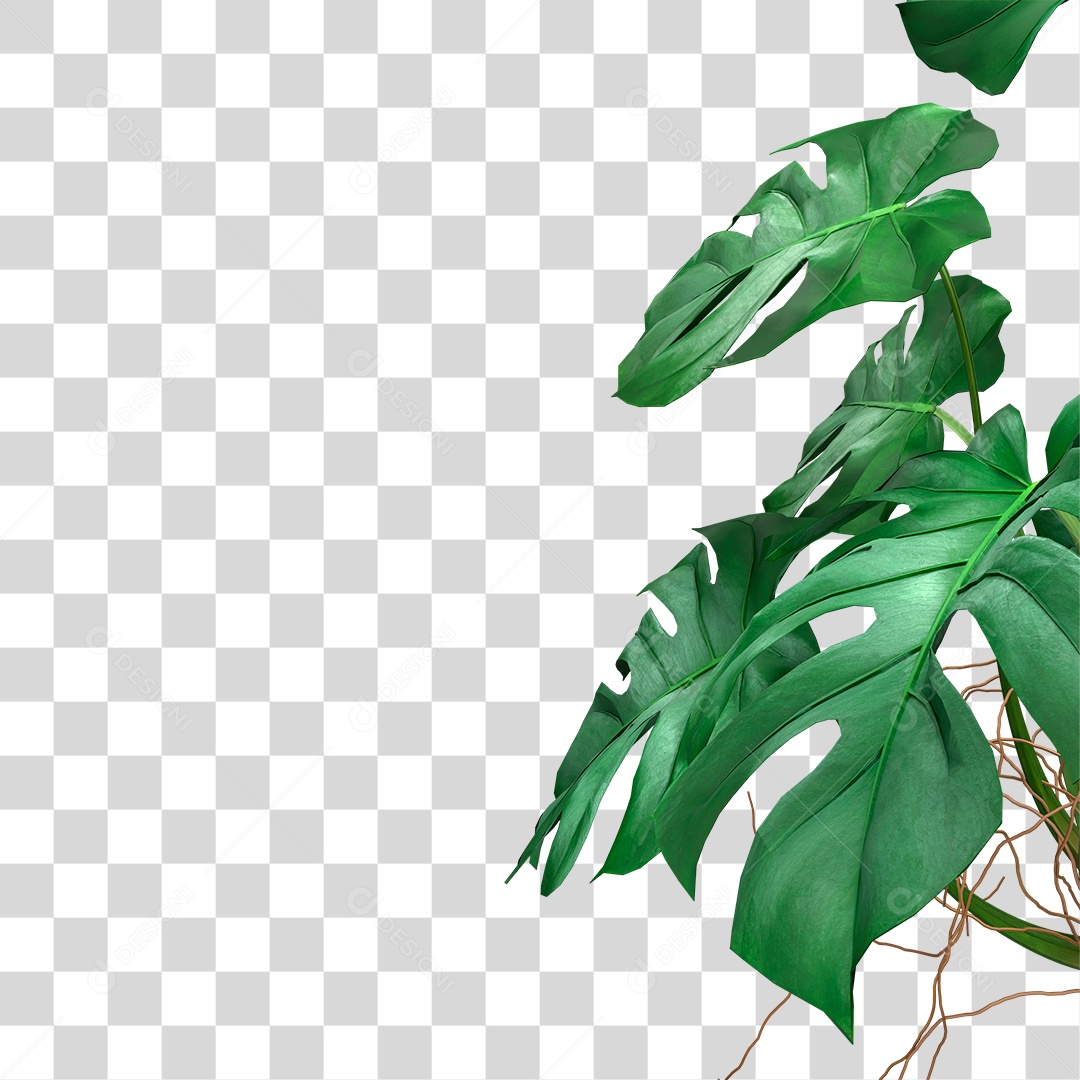 Folha Verde PNG Transparente