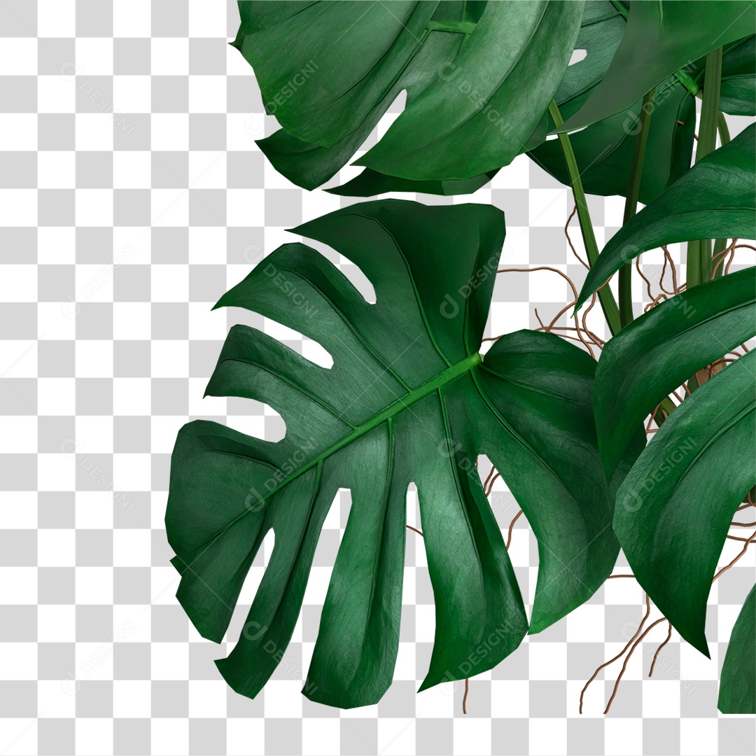 Folha Verde PNG Transparente