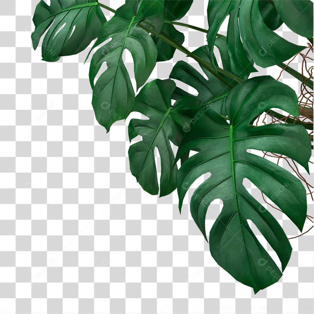 Folha Verde PNG Transparente