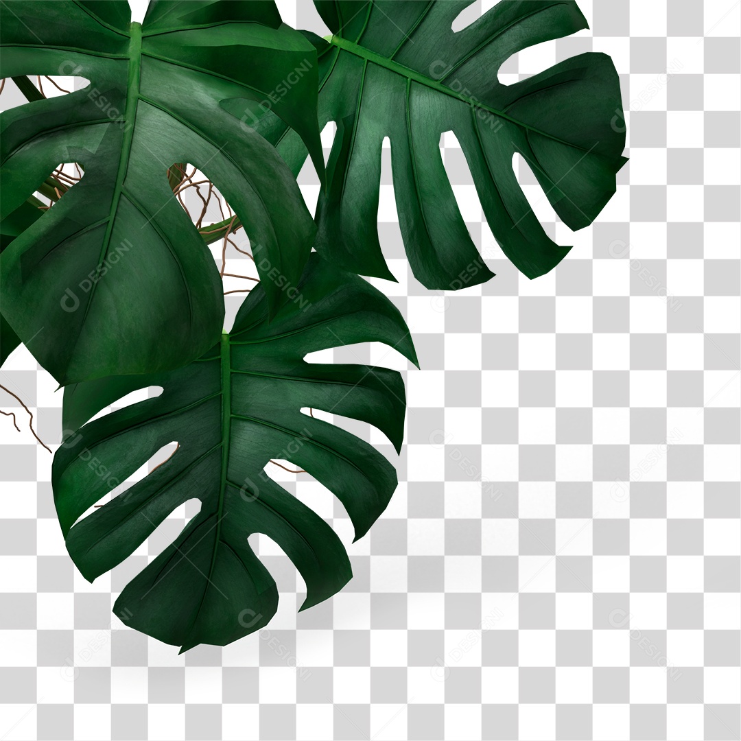 Folha Verde PNG Transparente