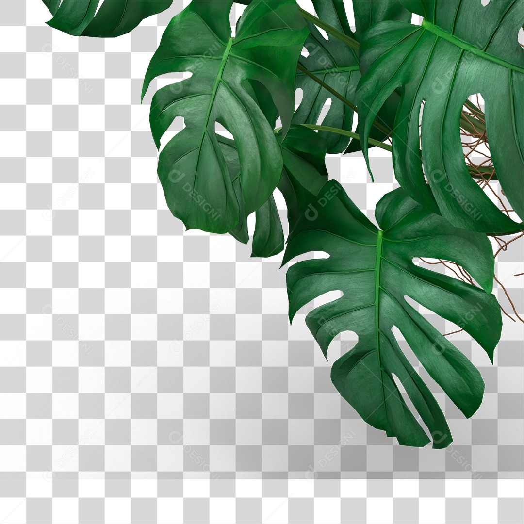 Folha Verde PNG Transparente