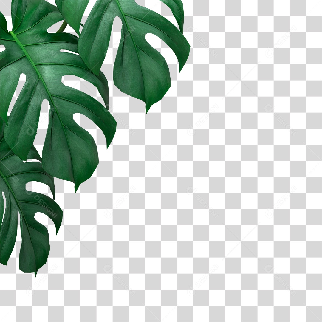 Folha Verde PNG Transparente