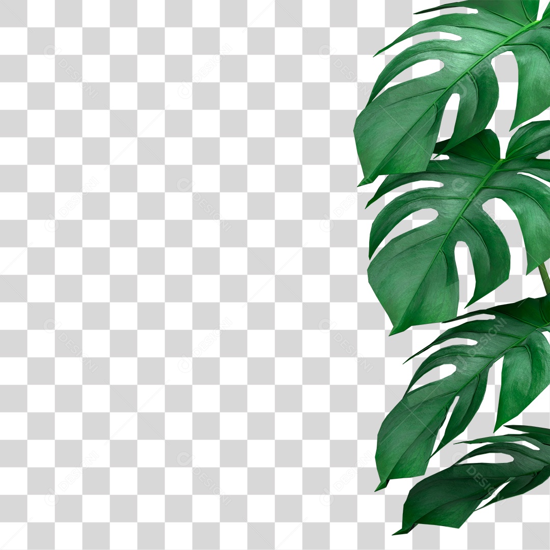 Folha Verde PNG Transparente