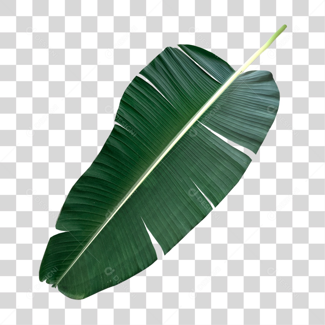 Folha de Banana PNG Transparente