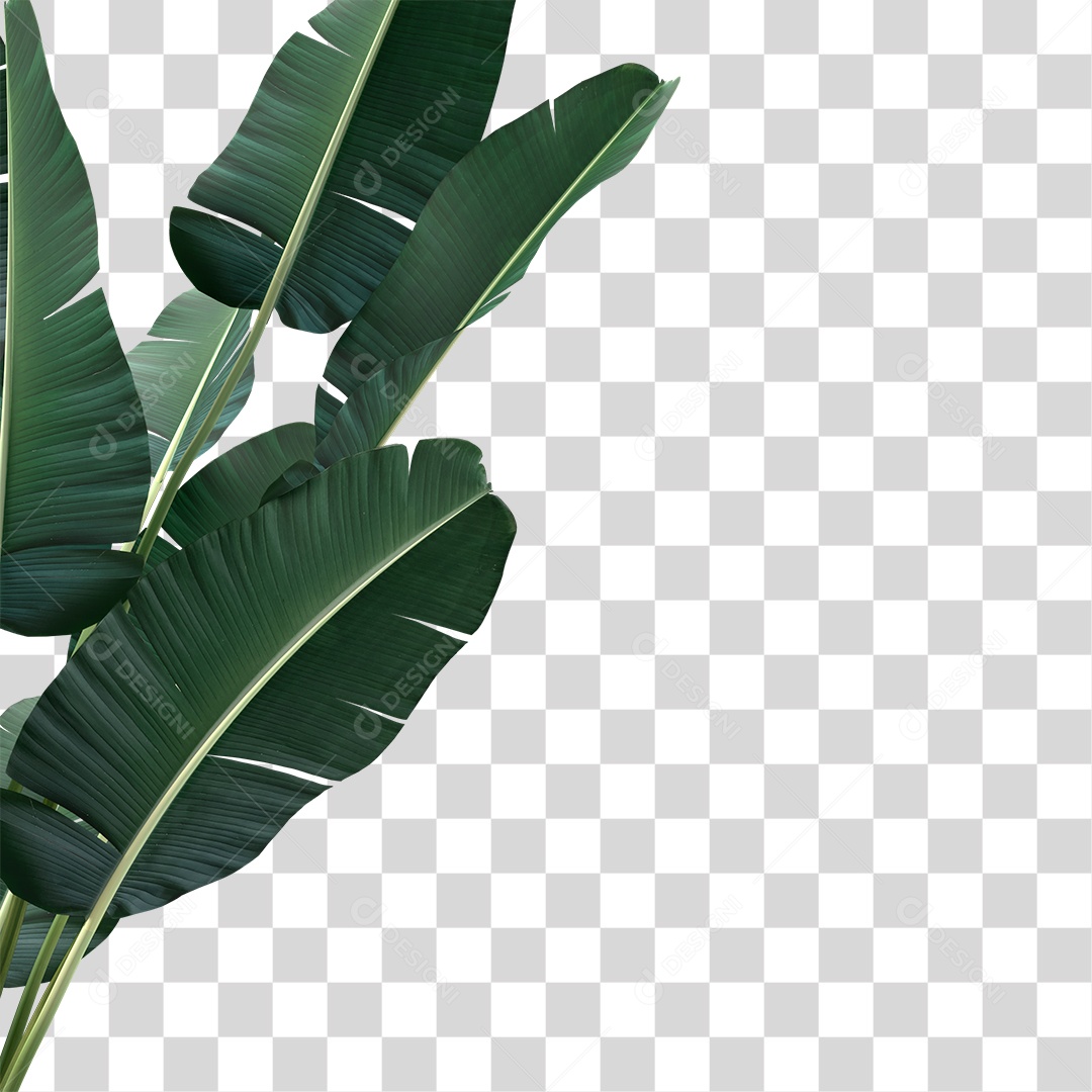 Folha de Banana PNG Transparente