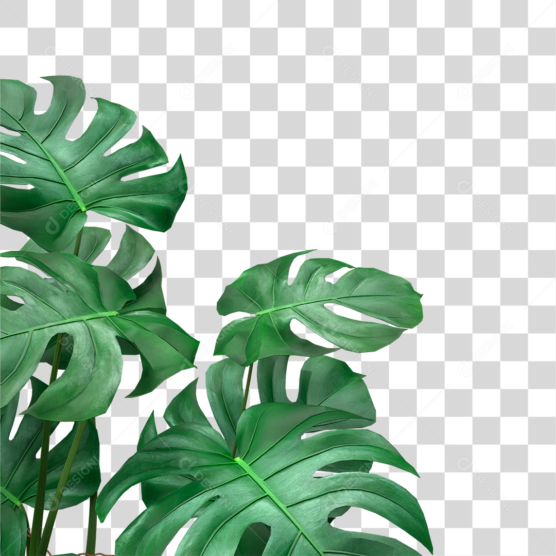 Folha Verde PNG Transparente