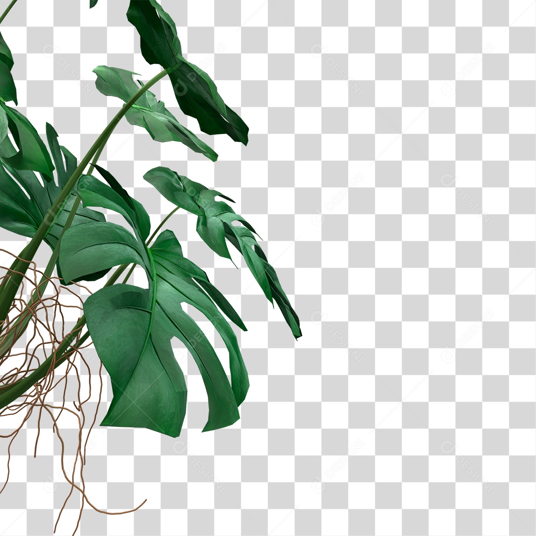 Folha Verde PNG Transparente