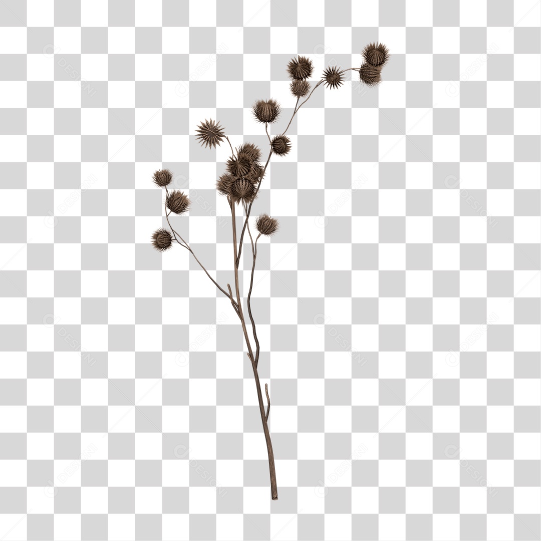 Planta Seca PNG Transparente