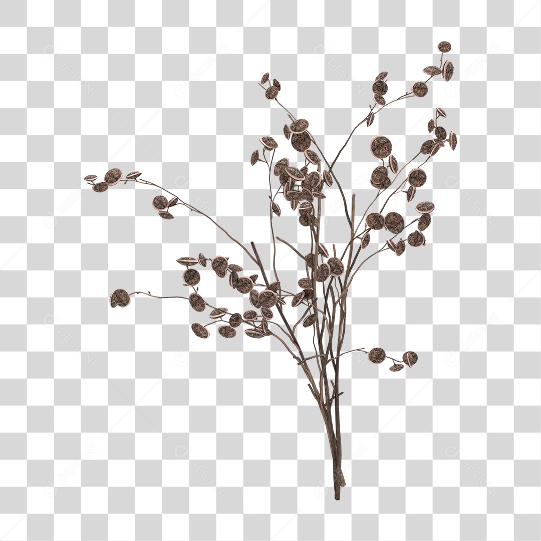 Planta Seca PNG Transparente