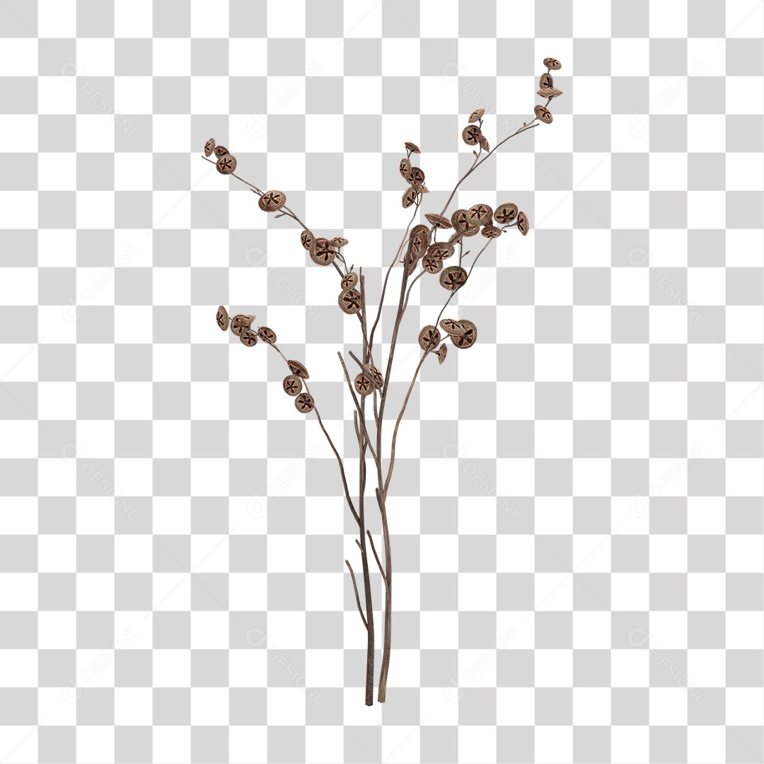 Planta Seca PNG Transparente