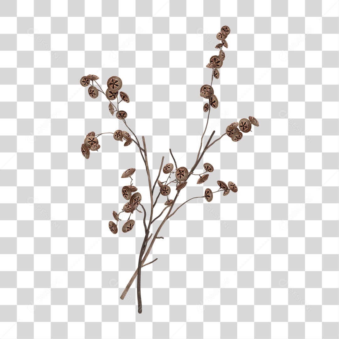 Planta Seca PNG Transparente