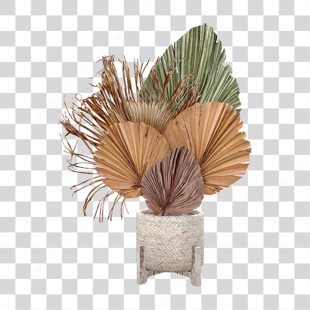 Planta Seca PNG Transparente