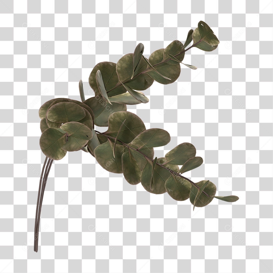 Planta Seca PNG Transparente