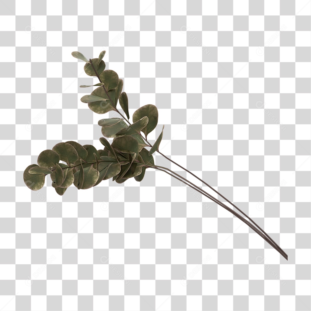 Planta Seca PNG Transparente