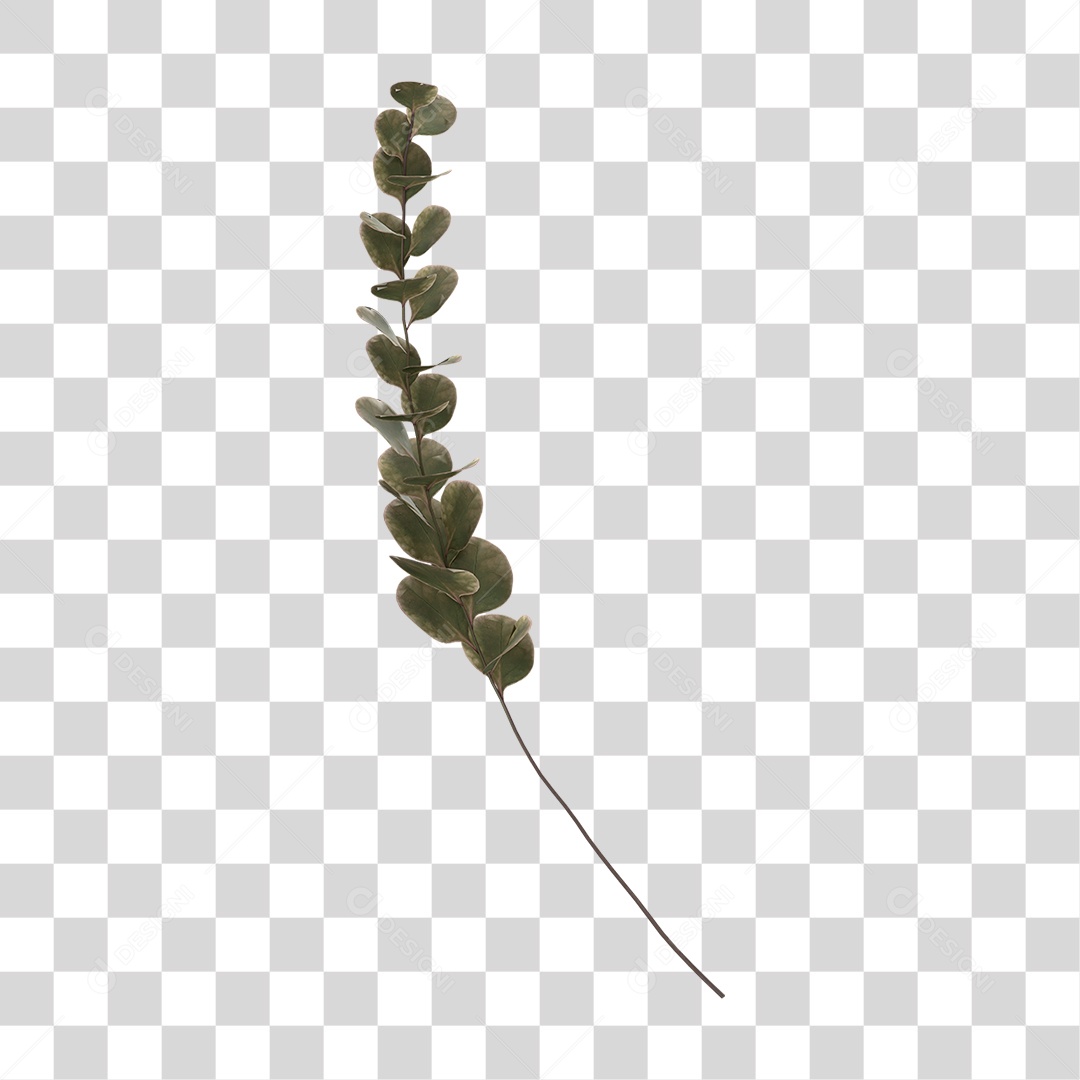 Planta Seca PNG Transparente