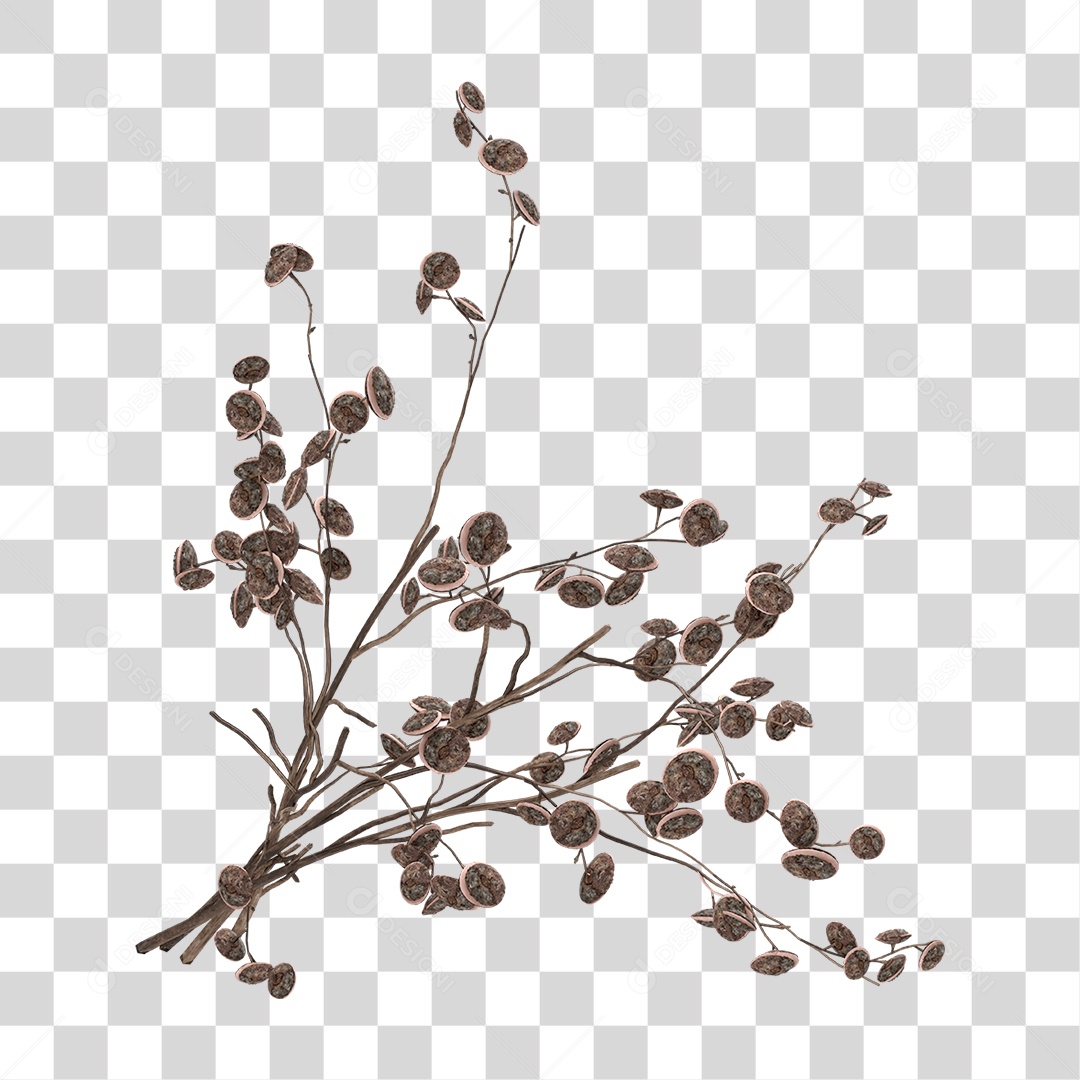 Planta Seca PNG Transparente