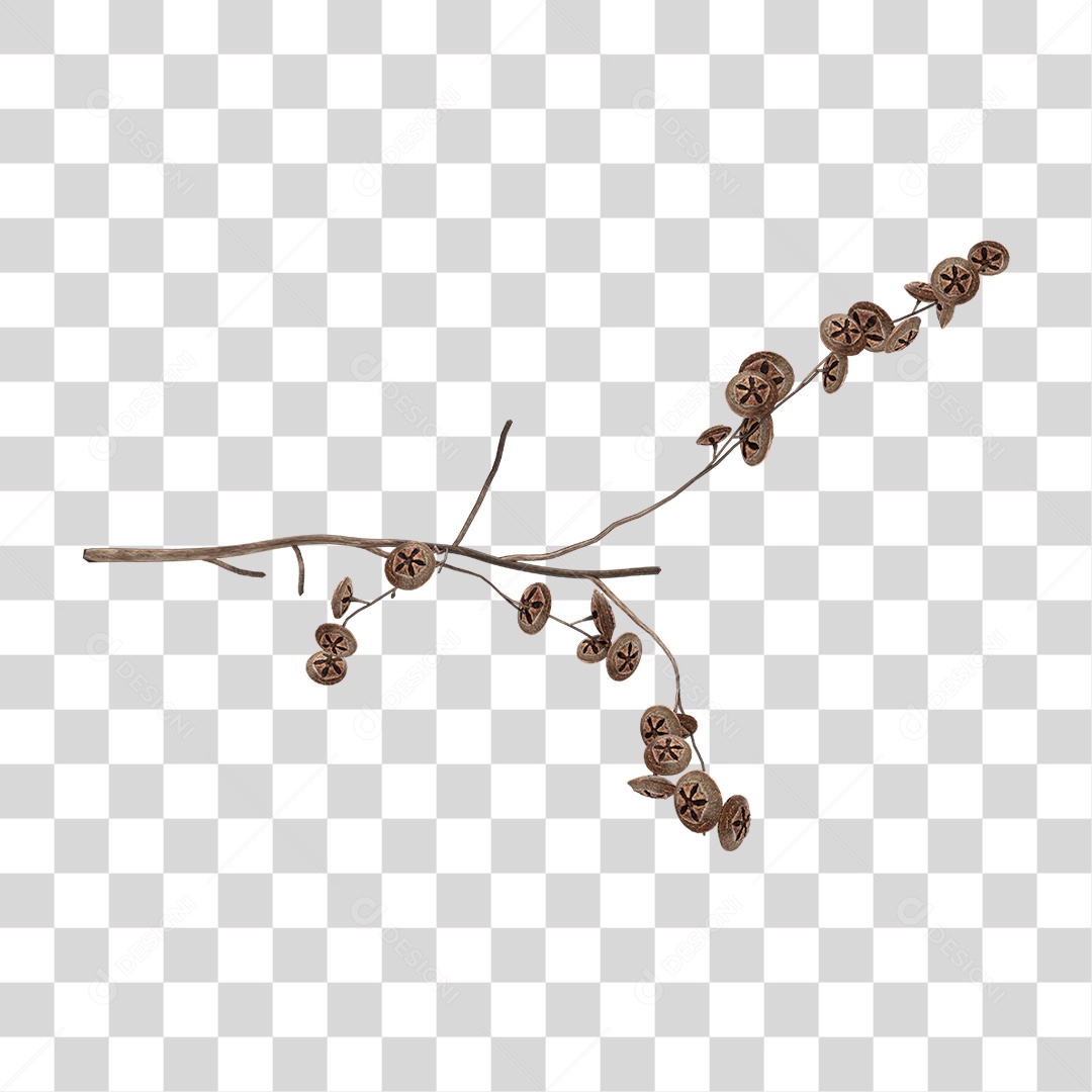 Planta Seca PNG Transparente