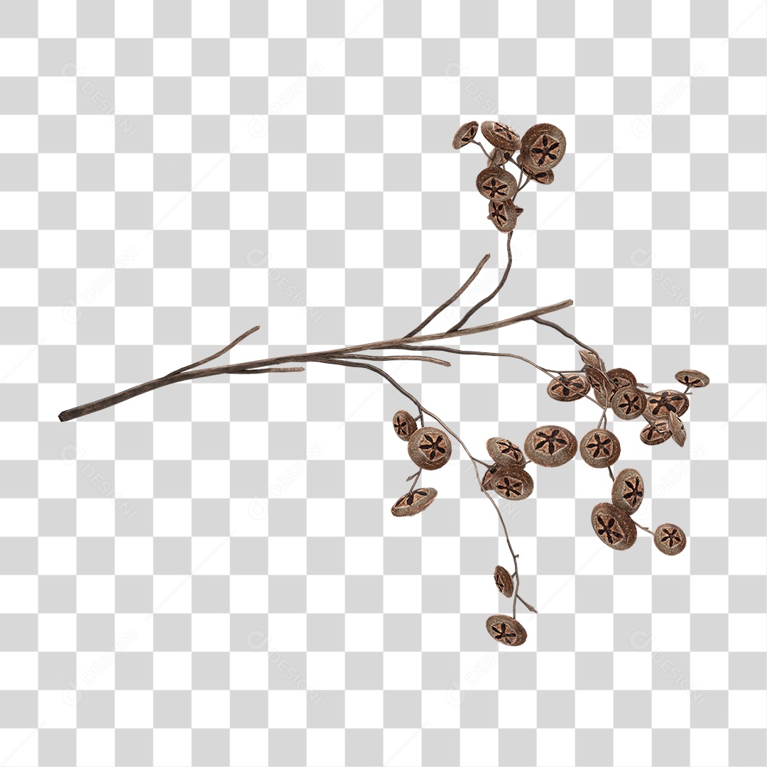 Planta Seca PNG Transparente