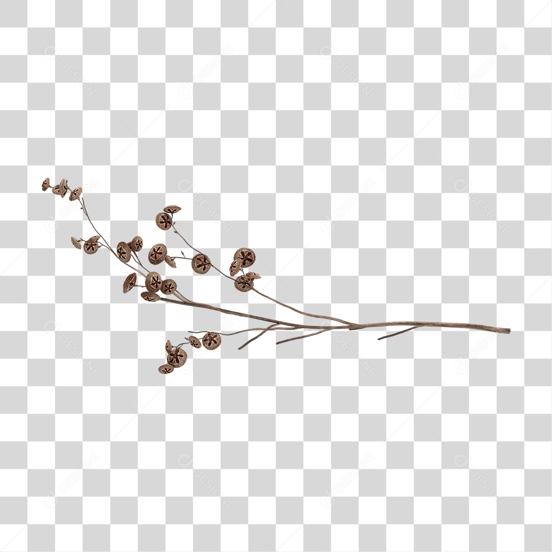 Planta Seca PNG Transparente