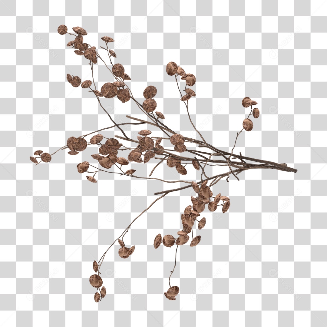 Planta Seca PNG Transparente