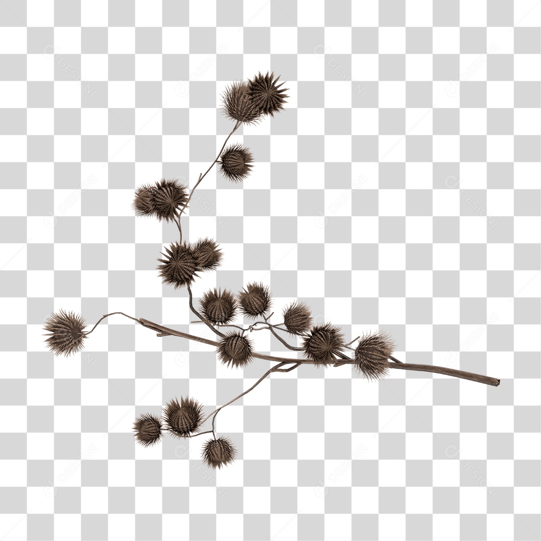 Planta Seca PNG Transparente