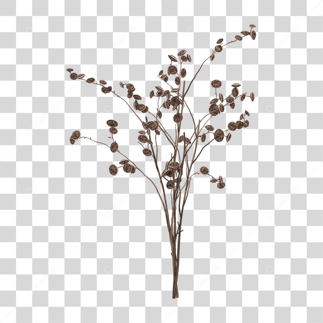 Planta Seca PNG Transparente