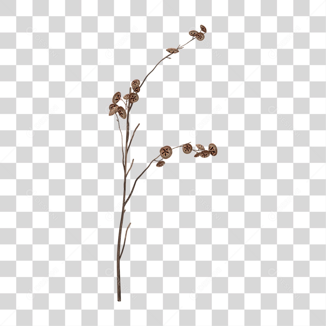 Planta Seca PNG Transparente