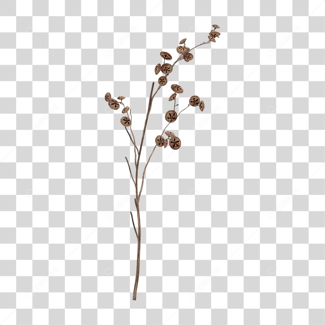 Planta Seca PNG Transparente