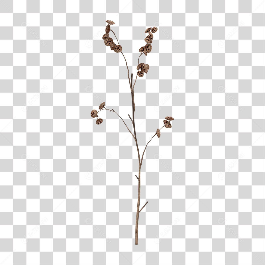 Folha Seca PNG Transparente